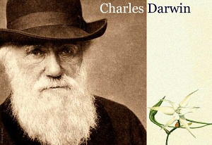 Darwin Year